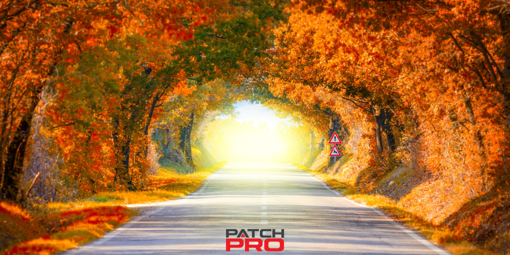 Best 8 Fall Activities In Portland